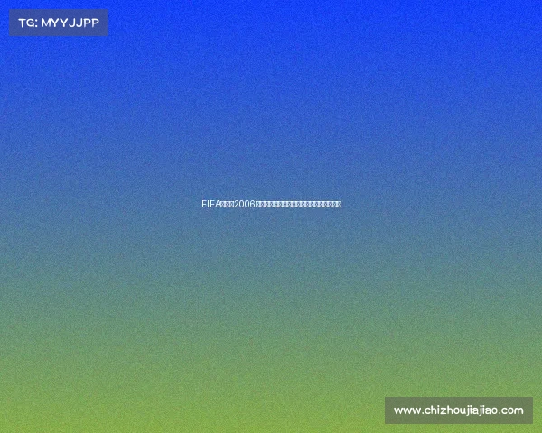 FIFA世界杯2006白屏事件回顾及原因深度解析与影响分析探